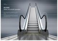超長上下自動扶梯供應 多年設計生產安裝經驗浙江西奧電梯 4