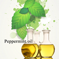Peppermint Oil  CAS 8006-90-4 Raw materials for daily chemical aromatics 5