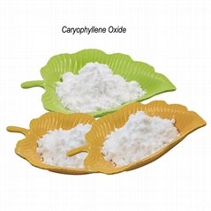 Caryophyllene CAS 1139-30-6 Food aromatics raw materials