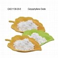 Caryophyllene CAS 1139-30-6 Food aromatics raw materials 2