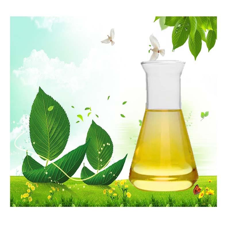 Menthyl PCA CAS 64519-44-4 Food aromatics raw materials 3
