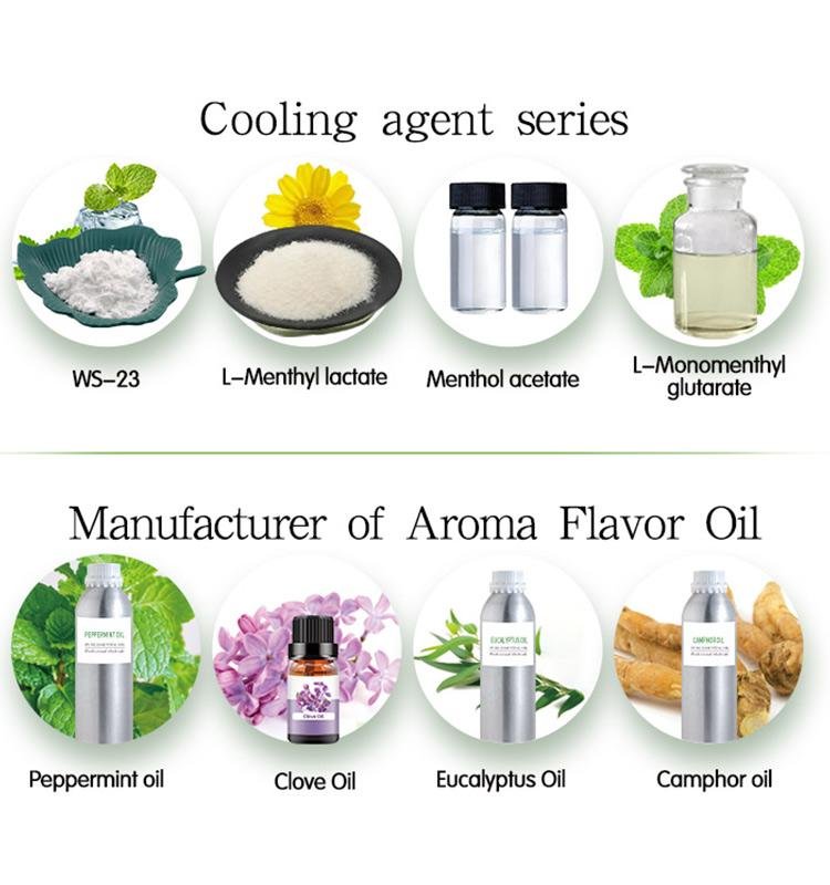 Menthyl PCA CAS 64519-44-4 Food aromatics raw materials 11