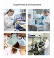 2.4-Decadienal  CAS 2363-88-4 Food aromatics raw materials 6