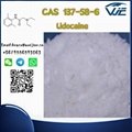 High Quality Pharmaceutical Chemical Lidocaine CAS 137-58-6 1
