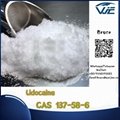 High Quality Pharmaceutical Chemical Lidocaine CAS 137-58-6 2