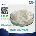 High Quality CAS 73-78-9 Lidocaine