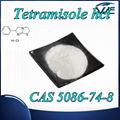 High Quality CAS 5086-74-8 Tetramisole