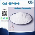 High Quality Sodium Carbonate CAS