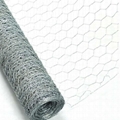 Stainless Steel Chicken Wire Mesh	