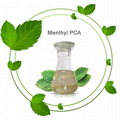 焦谷氨酸薄荷 Menthyl PCA 酯