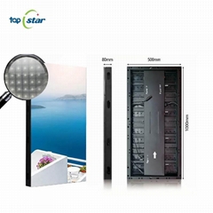 Hot New Product High Loading Plug and Play 500*1000mm Iron Cabinet P3.9 Dance Fl