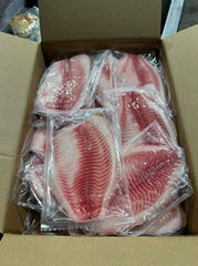 Frozen Tilapia Fillet  95%NW