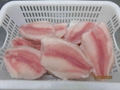 Frozen Tilapia Fillet 50% NW 5-70z 2