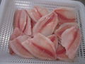 Frozen Tilapia Fillet 90%NW 3-5oz IVP