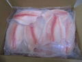 Frozen Tilapia Fillet 90%NW 3-5oz IVP