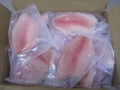 Frozen Tilapia Fillet 40%NW 3-5OZ