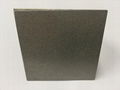 Metal Porous Sintered Titanium Plate Toptitech