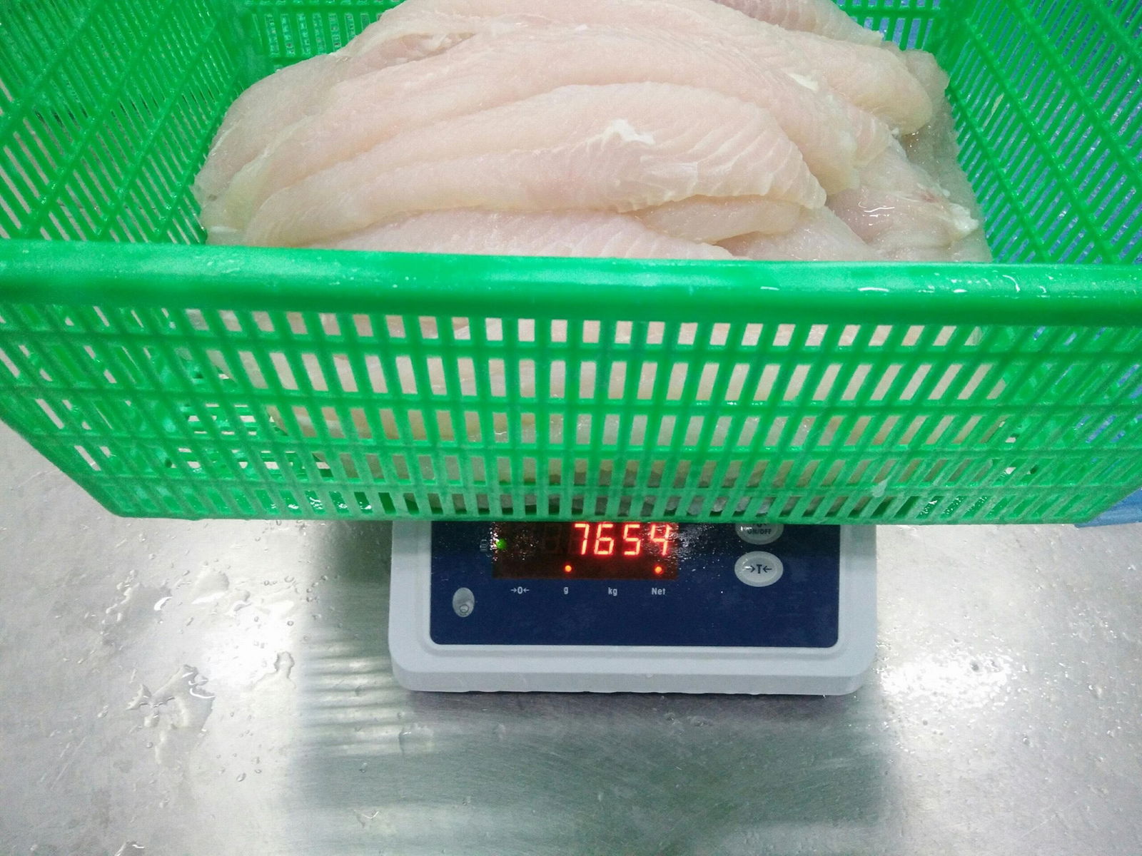 Frozen Pangasius Fillet  2