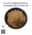 Bosang Factory Supply New Pmk Powder 99% Brown Powder CAS 52190-28-0 for Sale 1