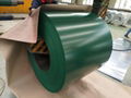 High Quliaty Prepianted Steel Coils PPGI Coils 4