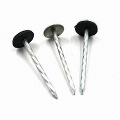 Customized  Roofing Nails  Galvanized GI Umbrella 