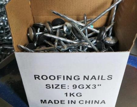 Customized  Roofing Nails  Galvanized GI Umbrella  5