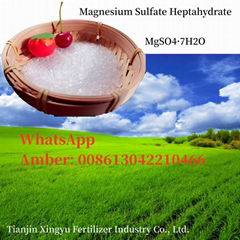 High quality and inexpensive Magnesium Sulfate Heptahydrate for agriculture