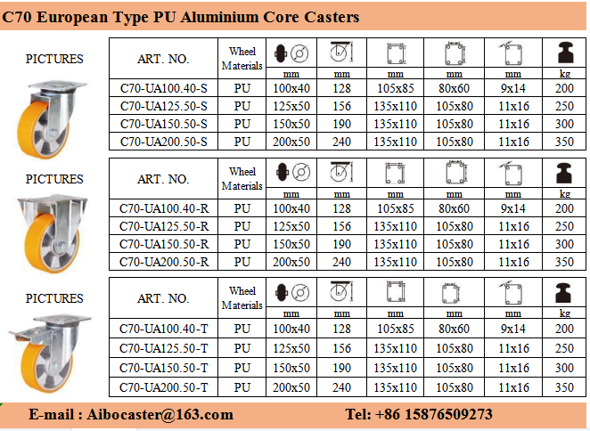 European Type Casters/PU On aluminium Core 2