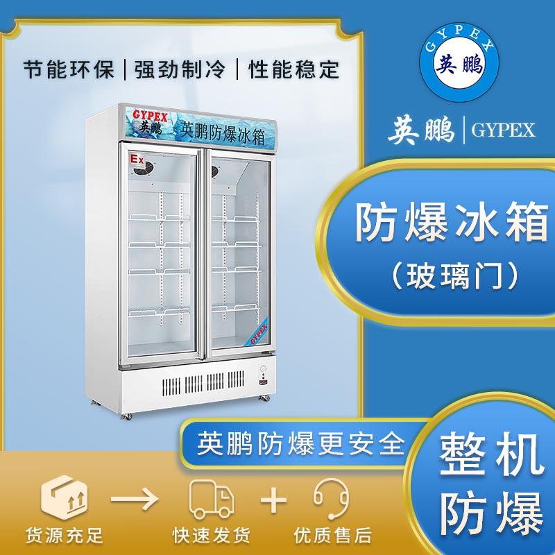 防爆冰箱冷藏柜化学生物实验室制药双门立式BL-700L
