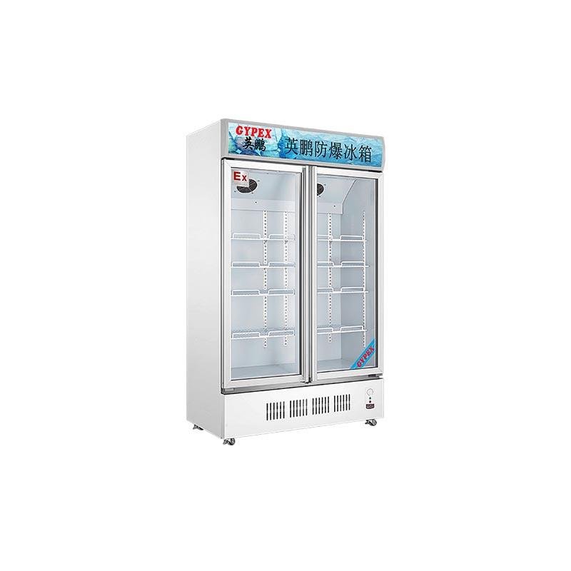 防爆冰箱冷藏柜化学生物实验室制药双门立式BL-900L 2