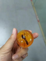 resin egg customize item