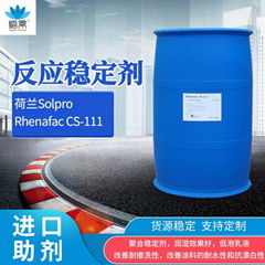 荷兰Solpro Rhenafac CS-111 阴离子反应型稳定剂 广东一级总代理