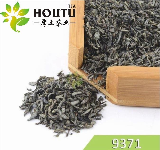 Morocco tea Maroc special Chunmee Organic Tea China 9371 supplyments 3