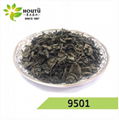China Green Tea Gunpowder 9501 big