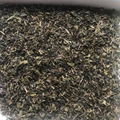 Chinese Green Tea Chunmee Tea 3008 in