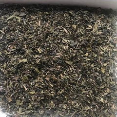 Chinese Green Tea Chunmee Tea 3008 in Middle East market