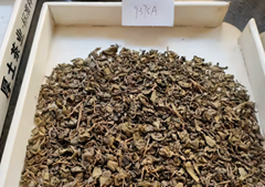 China Green Tea organic tea Gunpowder 9375 to Middle Aisa cheap quality