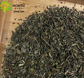 China Green Tea Gunpowder 9675 9575