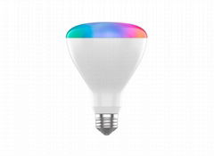 BR30 Smart Bulb