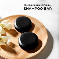 Refreshing Oil Control Anti Dandruff Nourishing Hair Shampoo Bar