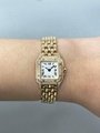 Cartier Panthere WJPN0020 18K Rose Gold Diamond Dial Ladies Watch 7