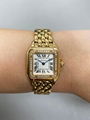 Cartier Panthere WJPN0008 Diamond 18K Rose Gold Ladies Watch 7