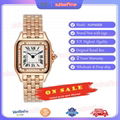 Cartier Panthere WJPN0008 Diamond 18K