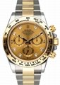 Wholesale Rolex Daytona 116503 Diamond Champagne Dial Two Tone Mens Watch 1