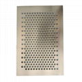 Perforated metal sheet/Mesh