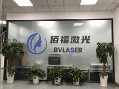 Nanjing Bestview Laser S&t Co., Ltd.