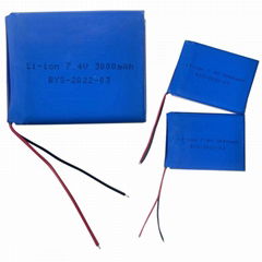 TZ X18766 12V lithium battery large