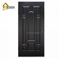 New Model American Panel Door