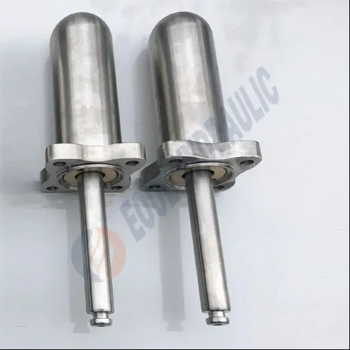 Stainless Steel Hydraulic Cylinders With Bore Diameter 100mm