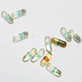 Empty Capsules for Liquid Vegetarian Hard Capsule for Nutritional Supplements